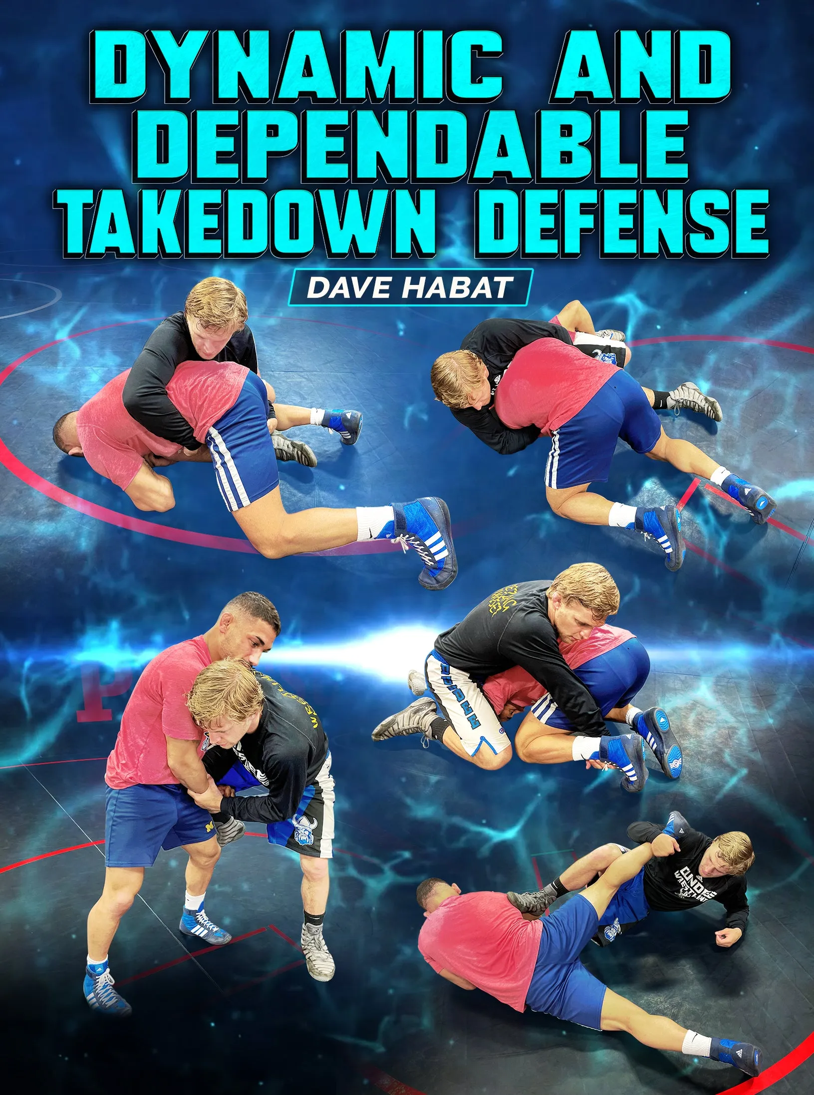 Dynamic And Dependable Takedown Defense by Dave Habat