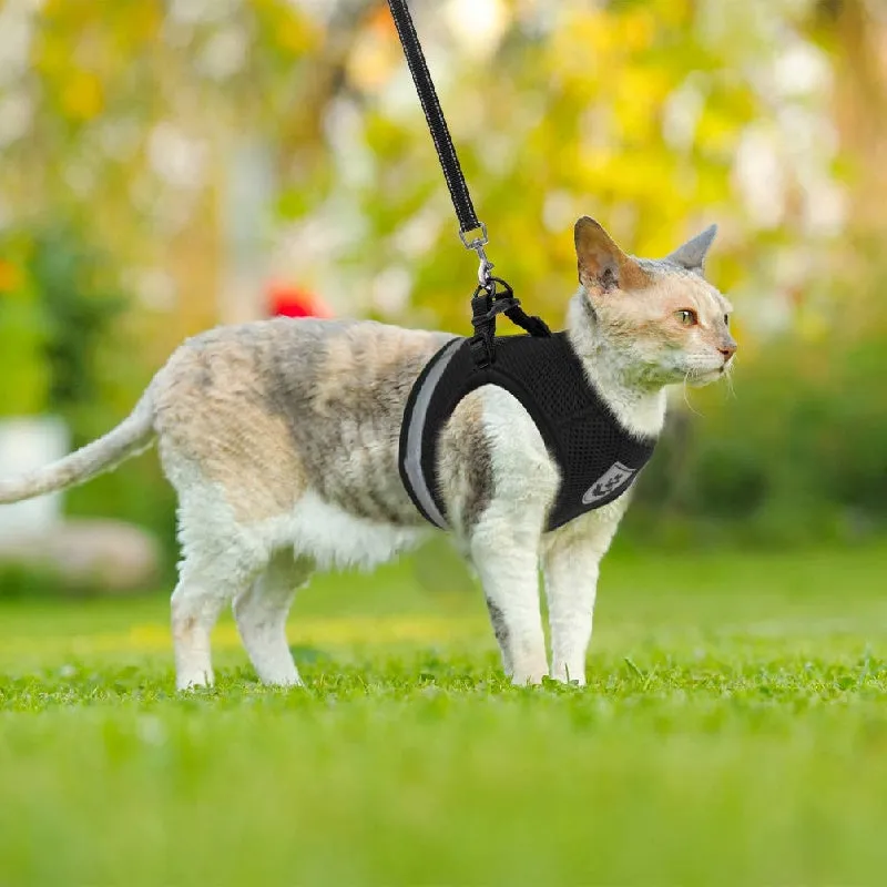 EscapeProof Cat Harness Set Breathable Adjustable Reflective  Easy Control