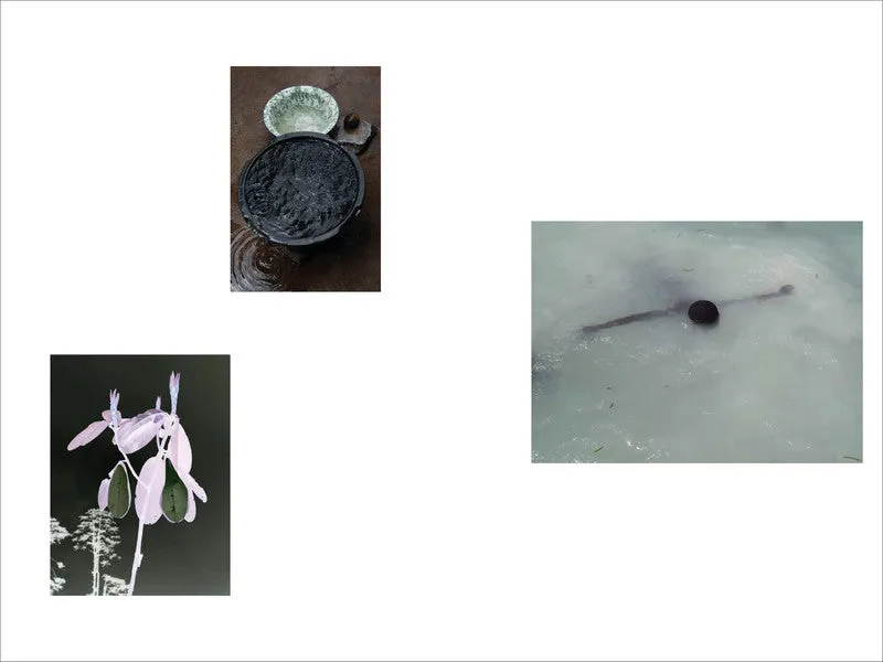 Viviane Sassen: Hot Mirror Catalogue